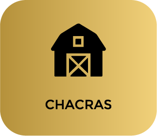 activo chacras
