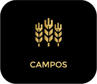activo no campos