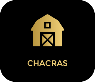 activo no chacras