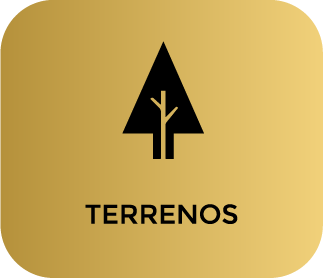 activo terrenos