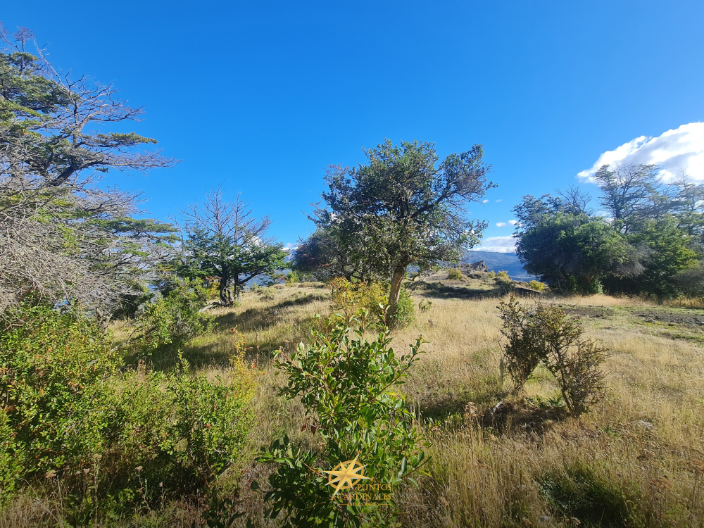 Chacra de 4 hectáreas – Corcovado, Chubut - Imagen 4