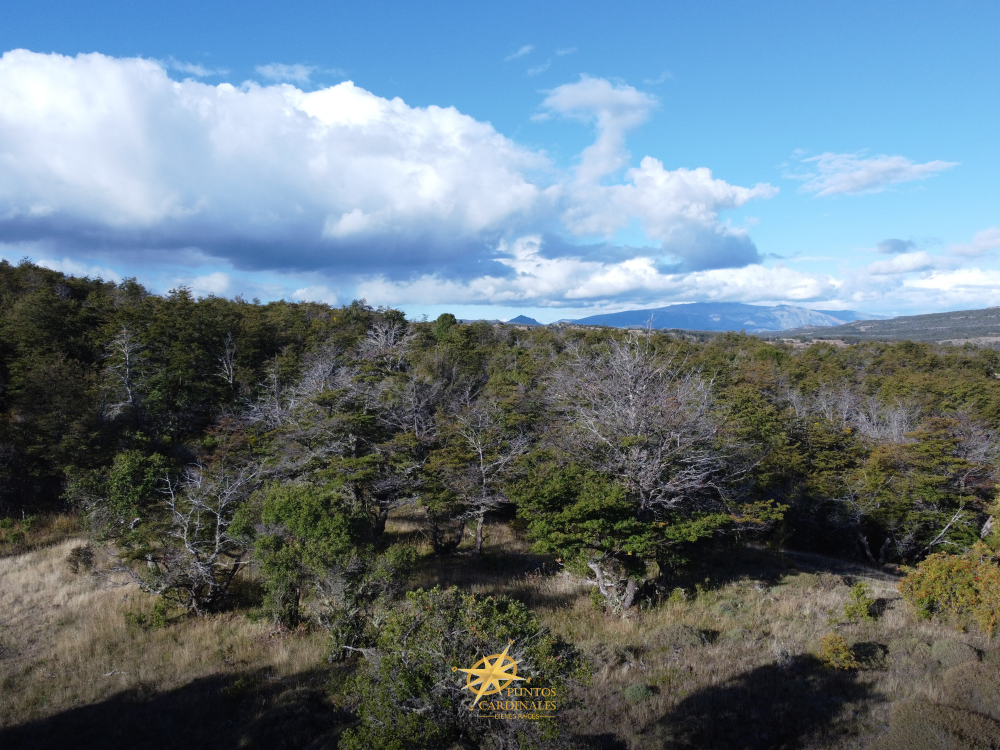 Chacra de 4 hectáreas – Corcovado, Chubut - Imagen 11
