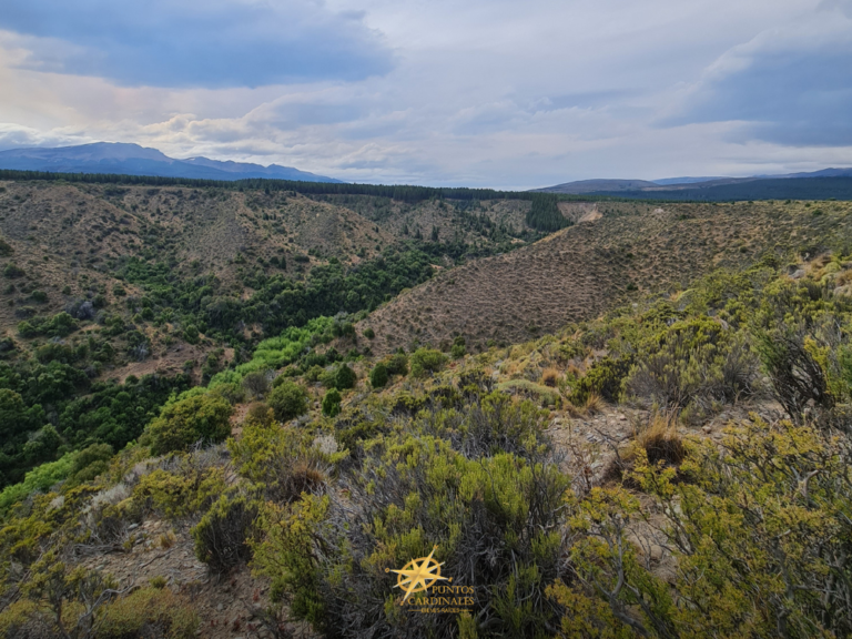 Campo de 24 Hectáreas – Villa Ayelén, Esquel