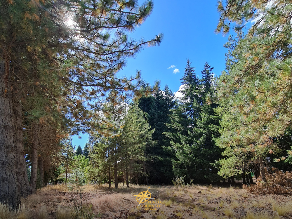 Terreno en esquina – Barrio Villa Ayelén, Esquel - Imagen 2