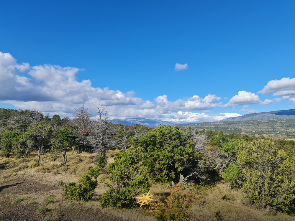 Chacra de 4 hectáreas – Corcovado, Chubut - Imagen 2