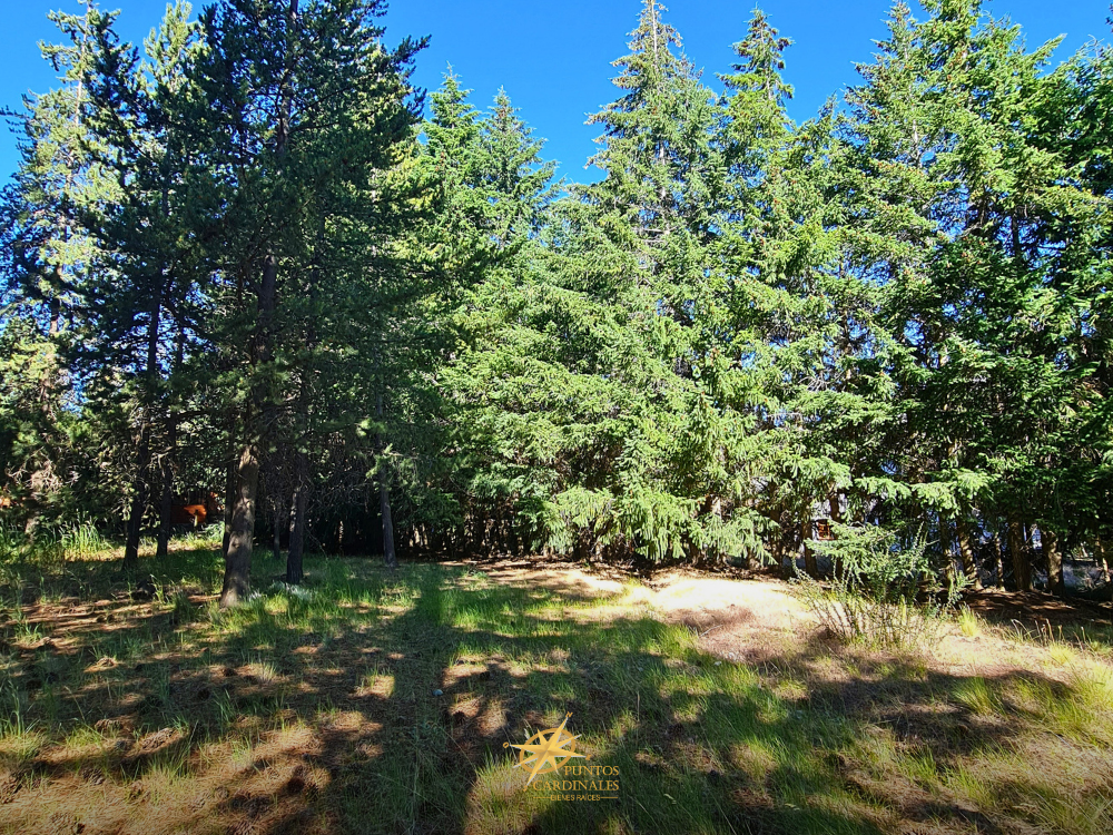 Terreno en esquina – Barrio Villa Ayelén, Esquel - Imagen 3