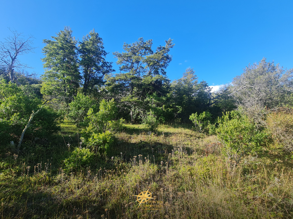 Chacra de 4 hectáreas – Corcovado, Chubut
