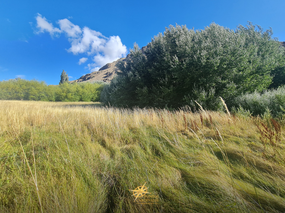 Lote en esquina en Barrio Cerro Colorado – Esquel - Imagen 4
