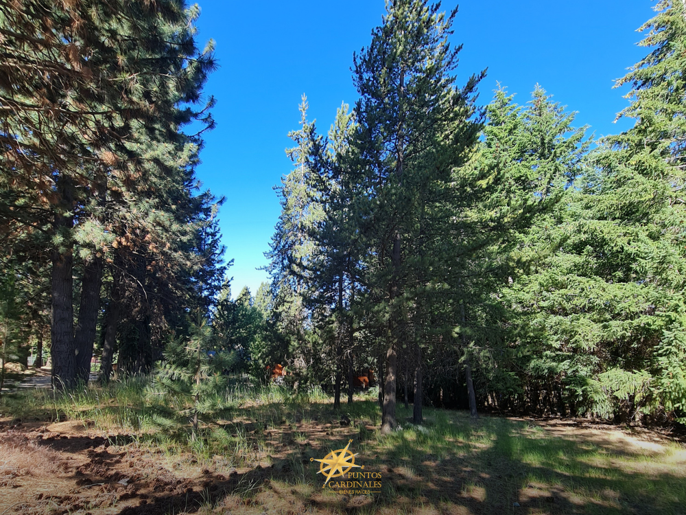 Terreno en esquina – Barrio Villa Ayelén, Esquel - Imagen 4