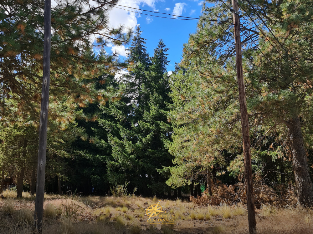Terreno en esquina – Barrio Villa Ayelén, Esquel - Imagen 5