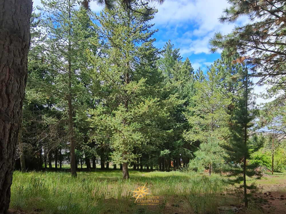Terreno en esquina – Barrio Villa Ayelén, Esquel - Imagen 6