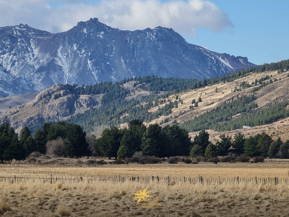 Chacra de 2.50 hectáreas – Esquel, Chubut - Imagen 7