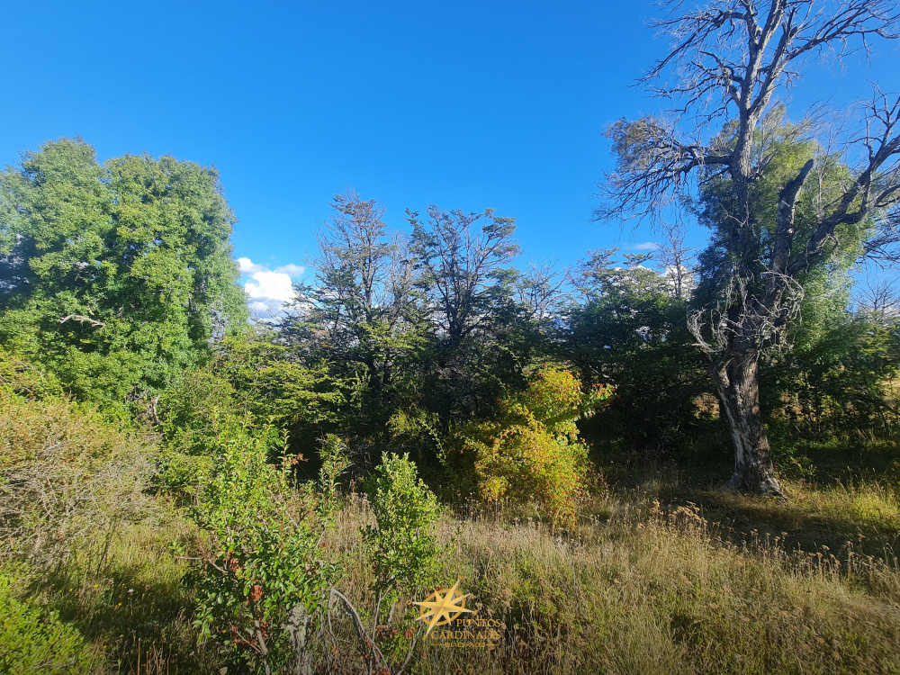 Chacra de 4 hectáreas – Corcovado, Chubut - Imagen 5