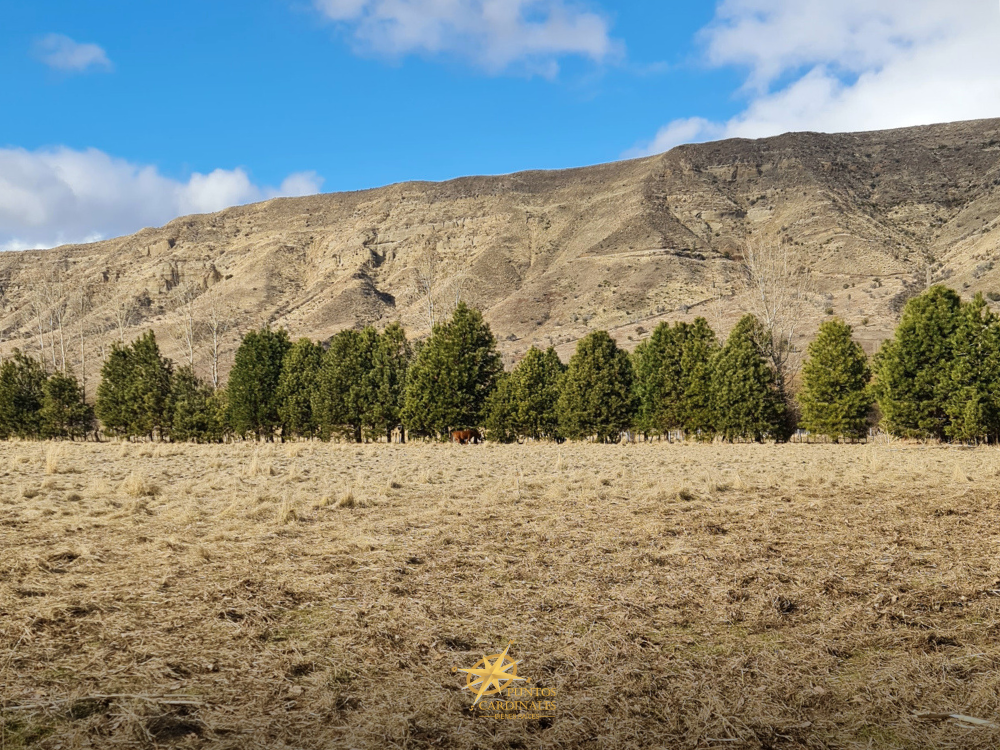 Chacra de 2.50 hectáreas – Esquel, Chubut - Imagen 9