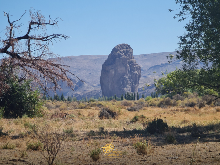 Campo de 770 has con Costa de Río y Casa – Piedra Parada