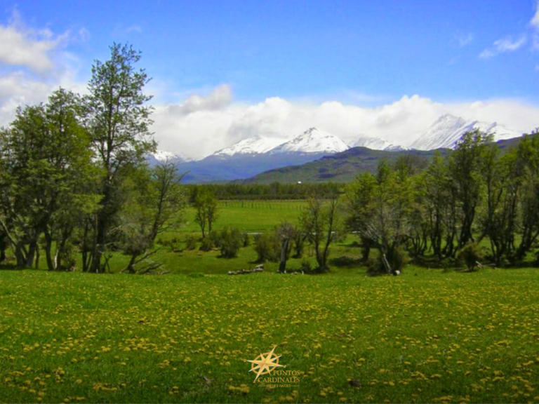 Chacra de 2,8 hectáreas – Aldea Atilio Viglione, Río Pico, Chubut
